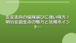 安定志向の保険選びに強い味方!明治安田生命の魅力と活用ポイント